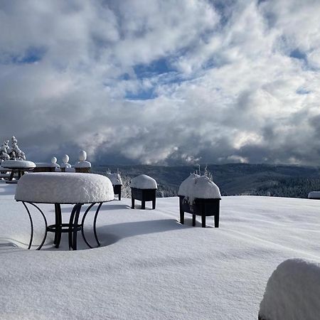 Berghotel Stutenhaus Schmiedefeld am Rennsteig Dış mekan fotoğraf